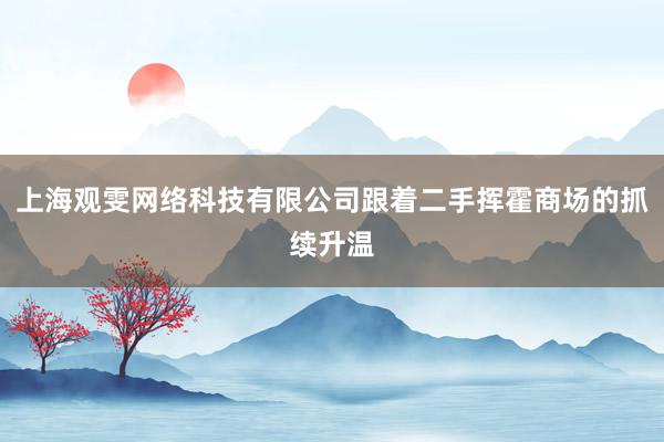 上海观雯网络科技有限公司跟着二手挥霍商场的抓续升温